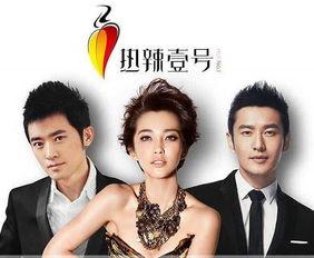 娱乐之缔造大明星,从幕后推手到明星缔造者的传奇之路