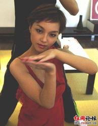 星姐八卦,揭秘娱乐圈幕后故事与明星私生活