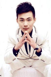 翟玮个人资料,才华横溢的青年才俊，多领域杰出贡献者